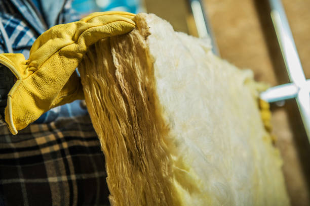 Best Blown-in Insulation in Troy, AL