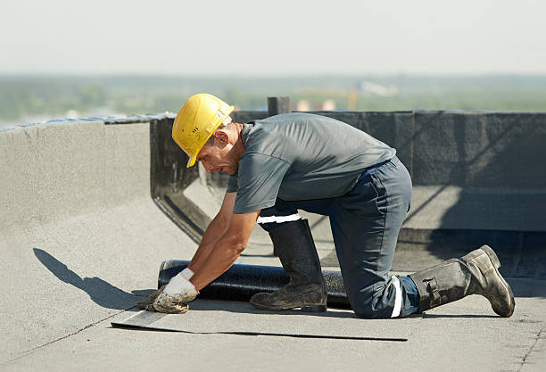 Best DIY Insulation Kits and Guidance in Troy, AL